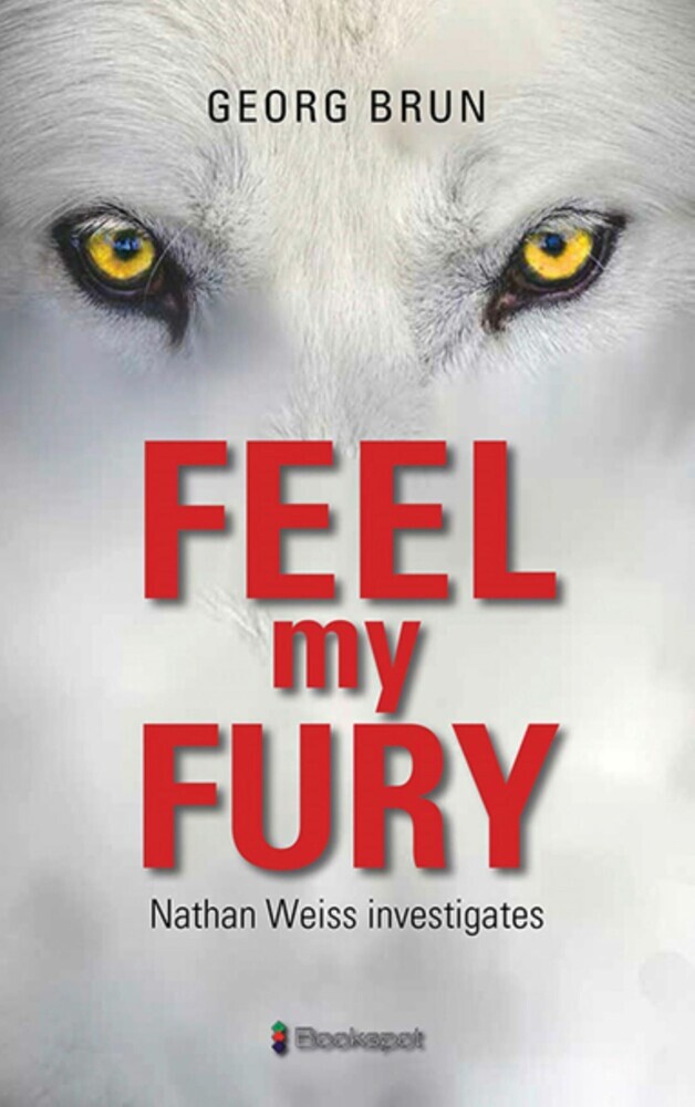 Feel My Fury main product photo