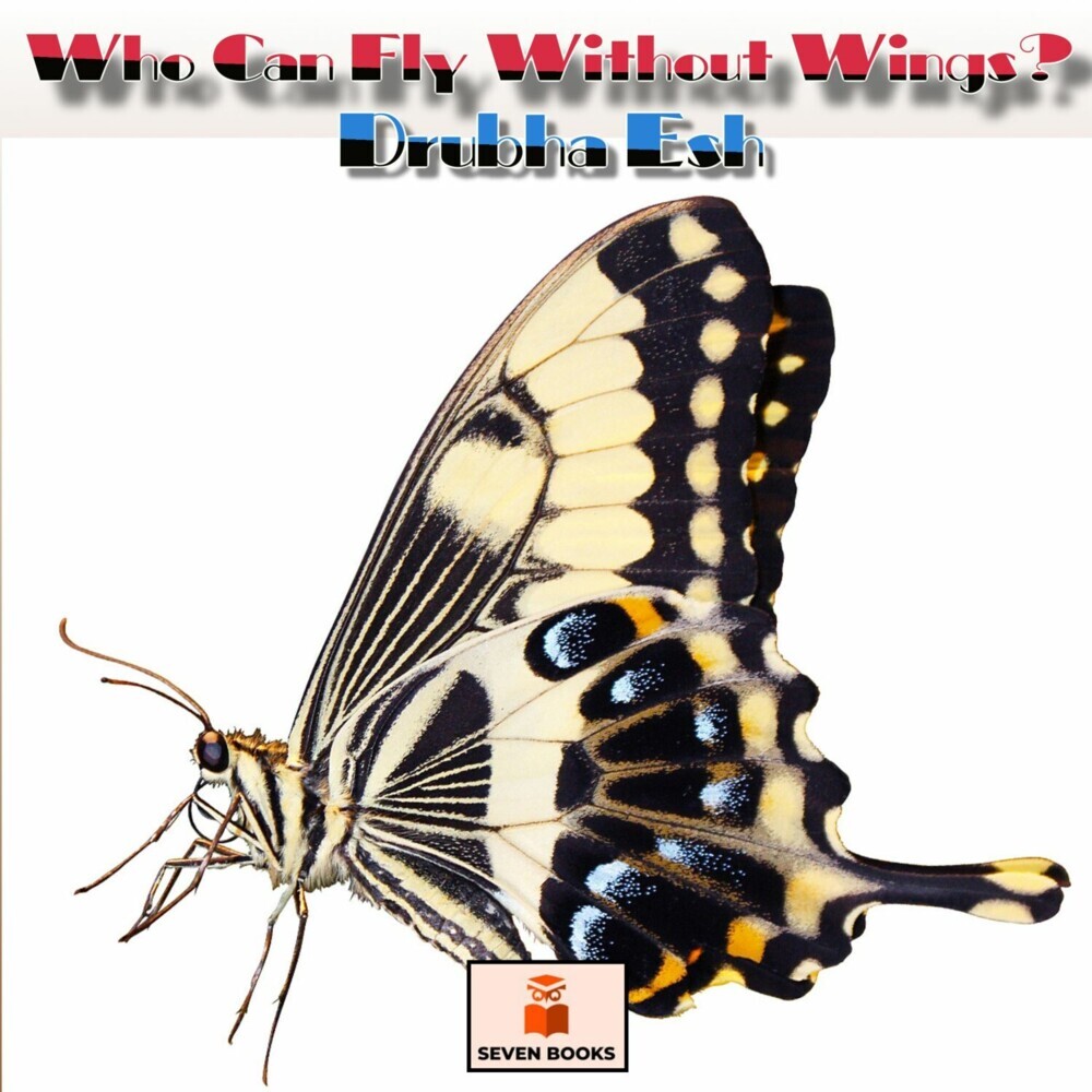 Who Can Fly Without Wings? main product photo