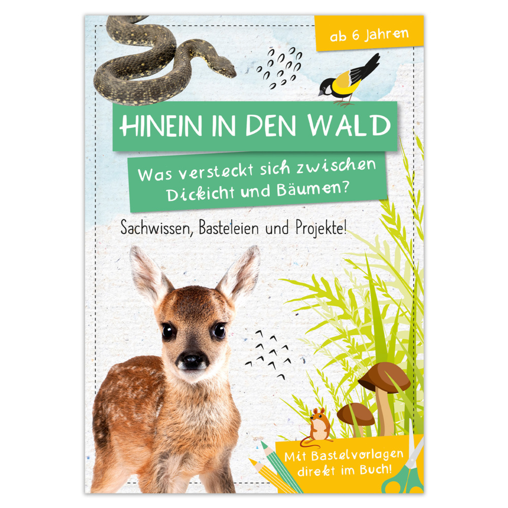 Activity Heft: Hinein in den Wald - Was versteckt sich zwischen Dickicht und Bäumen? main product photo