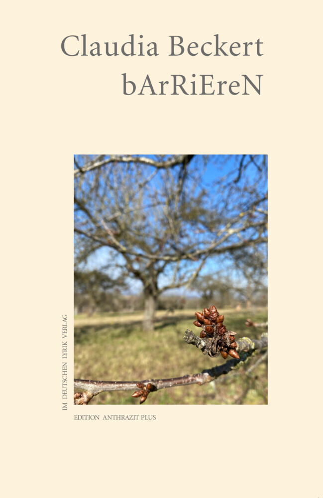 bArRiEreN main product photo