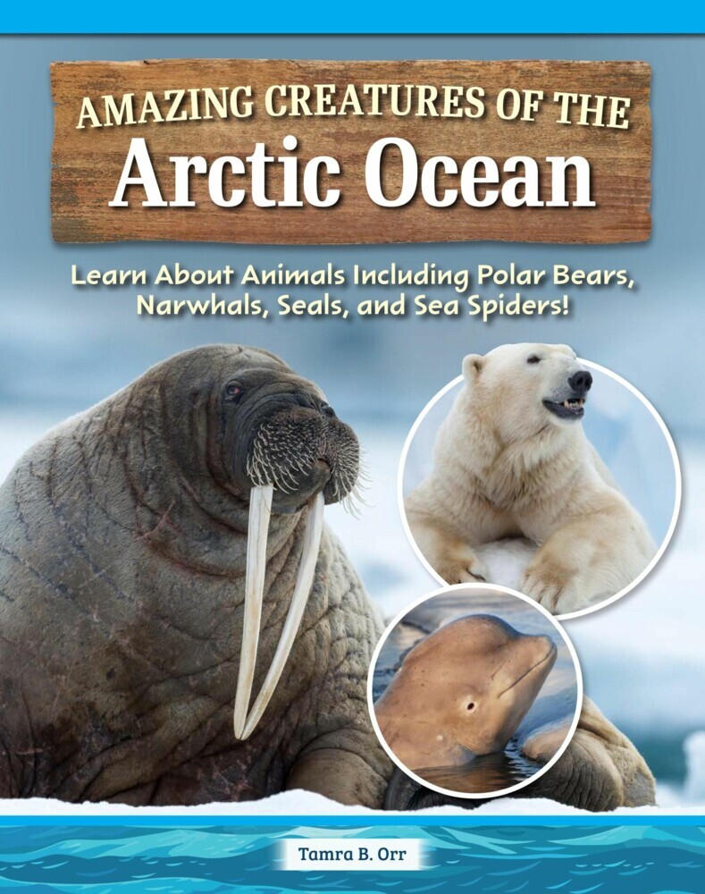 Amazing Creatures of the Arctic Ocean main product photo