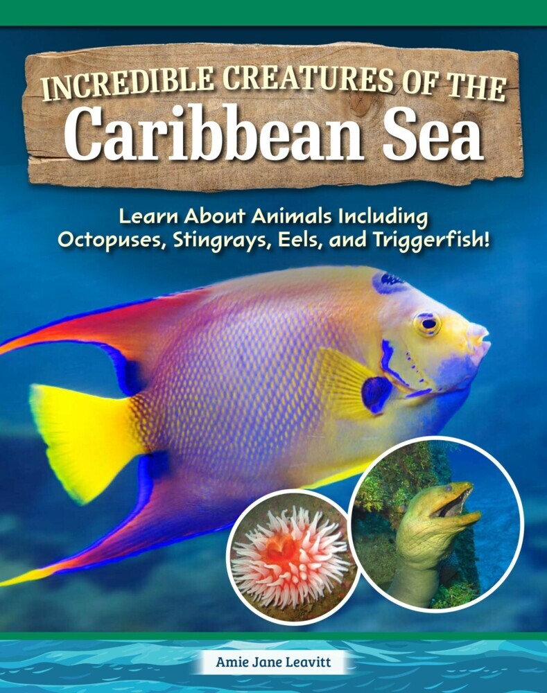 Incredible Creatures of the Caribbean Sea main product photo