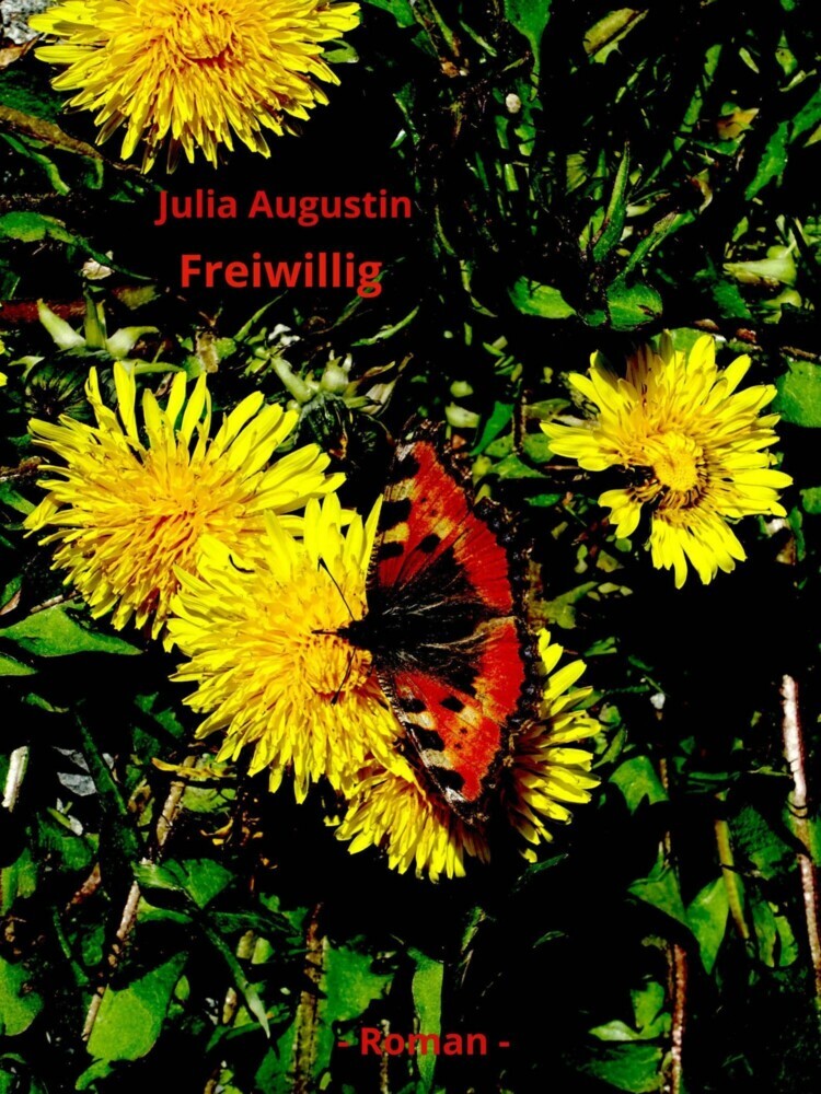 Freiwillig main product photo