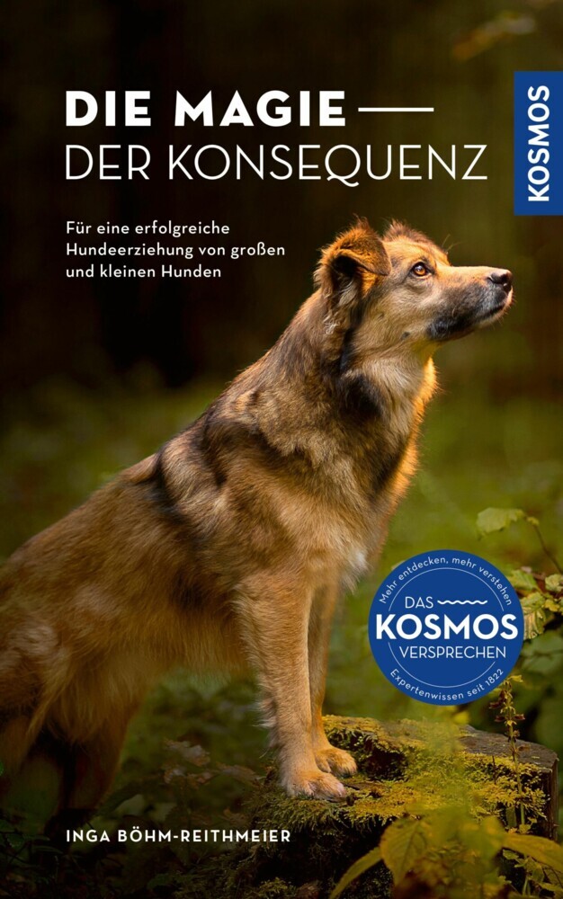 Die Magie der Konsequenz main product photo