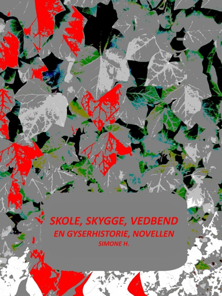 Skole, skygge, vedbend main product photo
