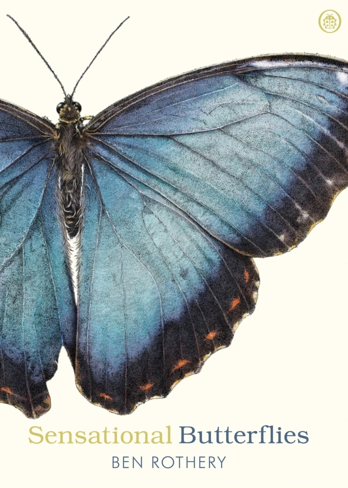Sensational Butterflies main product photo