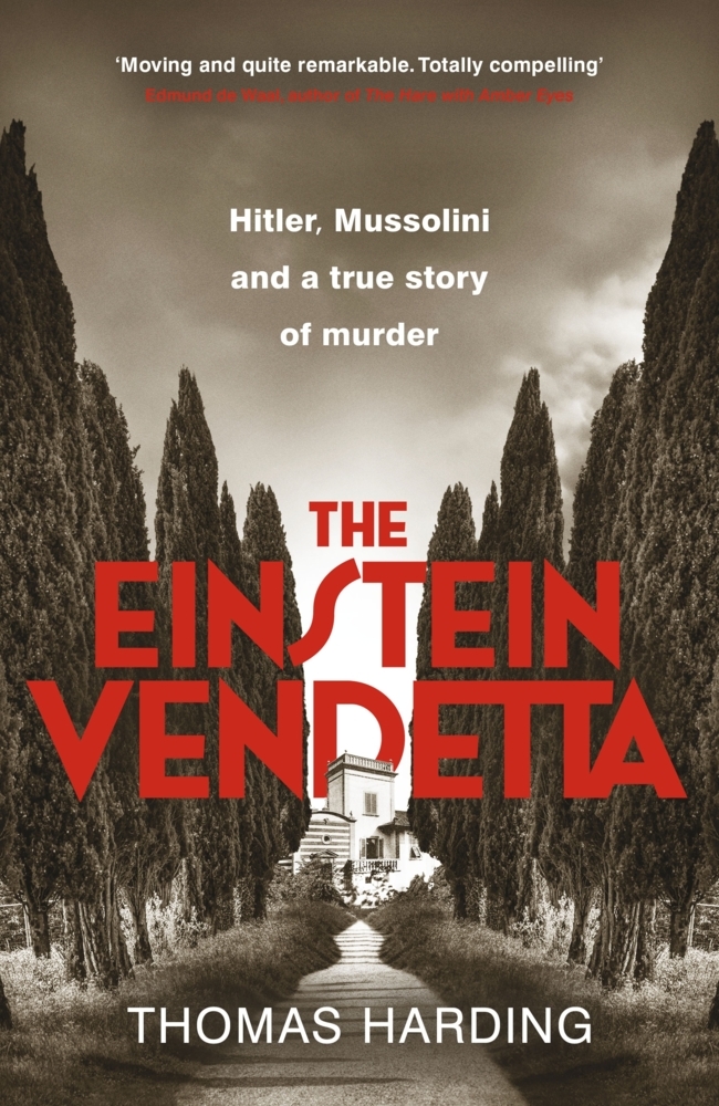 The Einstein Vendetta main product photo
