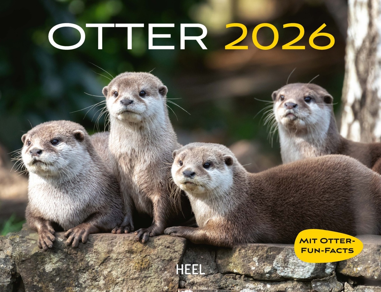 Otter Kalender 2026 Wandkalender Eintragkalender main product photo