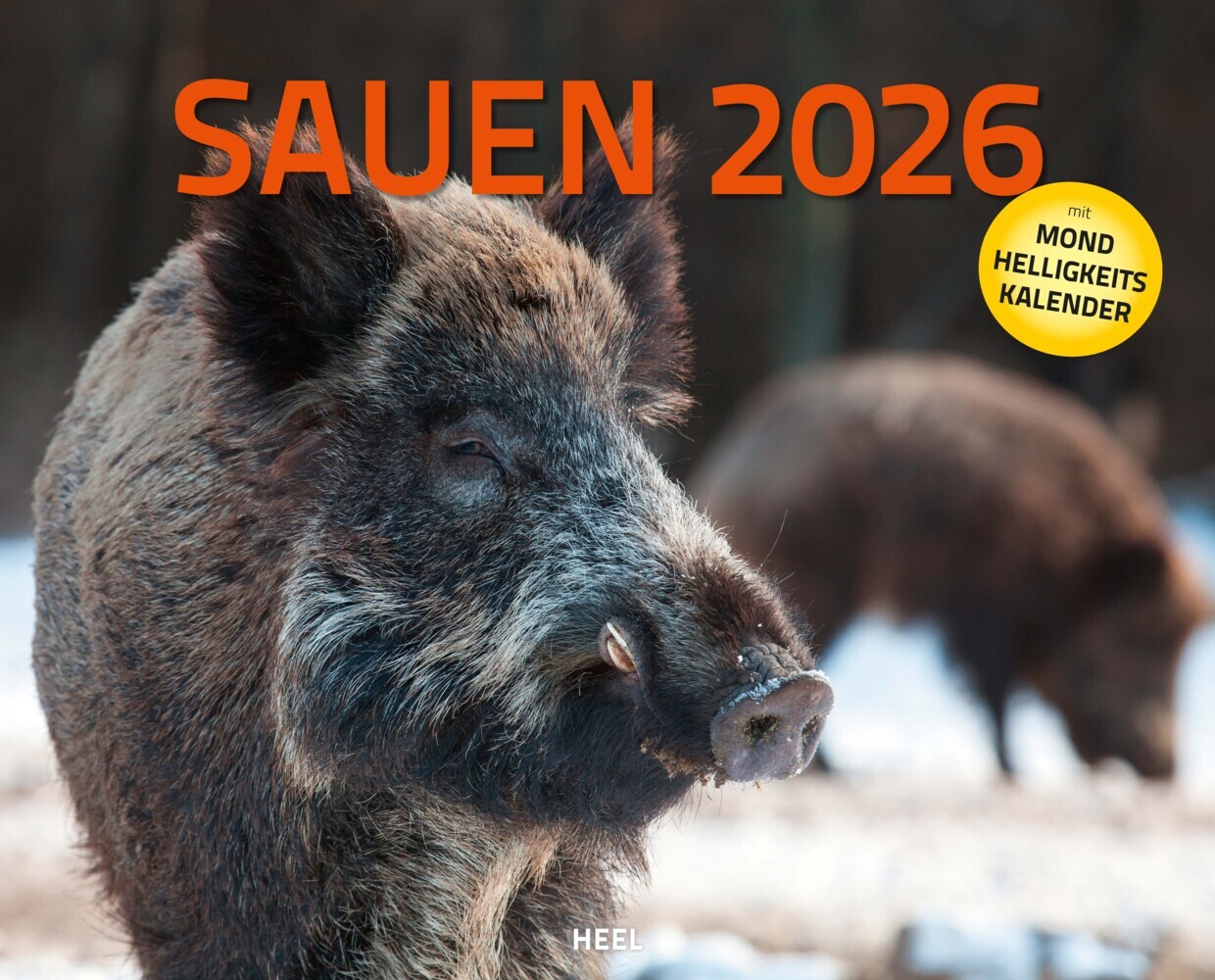 Sauen Kalender 2026 Jagd-Kalender im XXL-Format main product photo