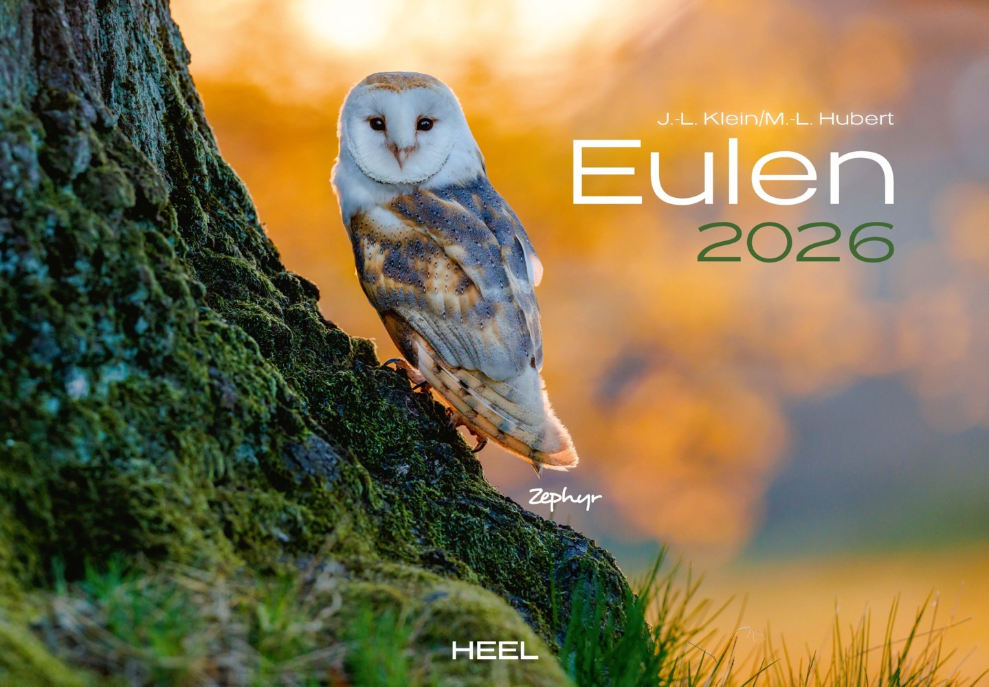 Eulen Kalender 2026 main product photo