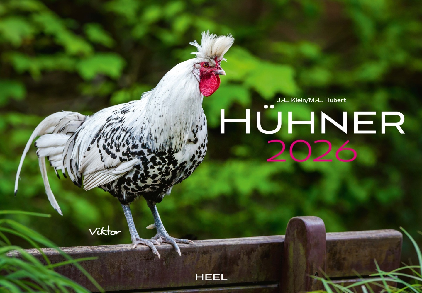 Hühner Kalender 2026 main product photo