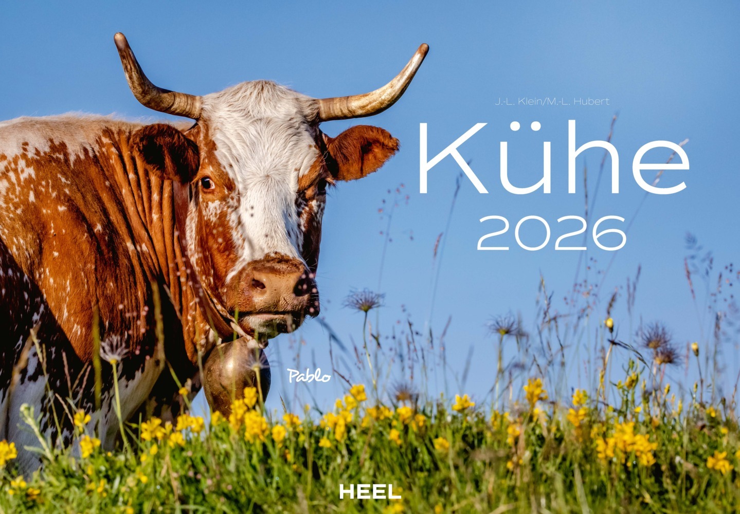 Kühe Kalender 2026 Wandkalender main product photo