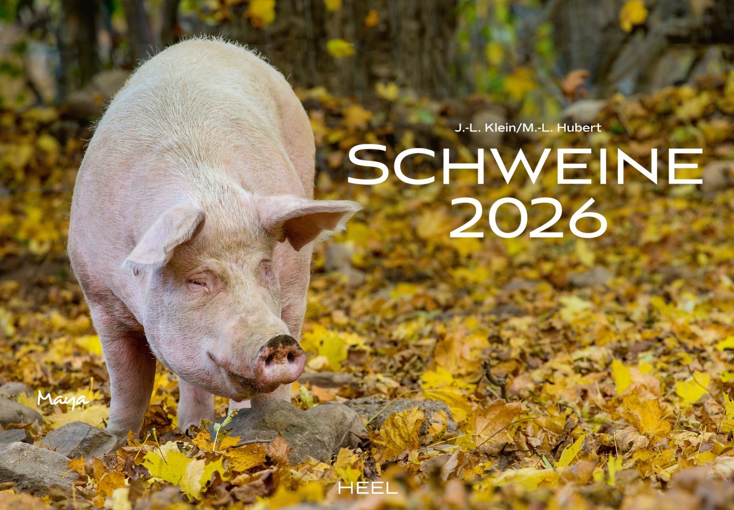 Schweine Kalender 2026 main product photo