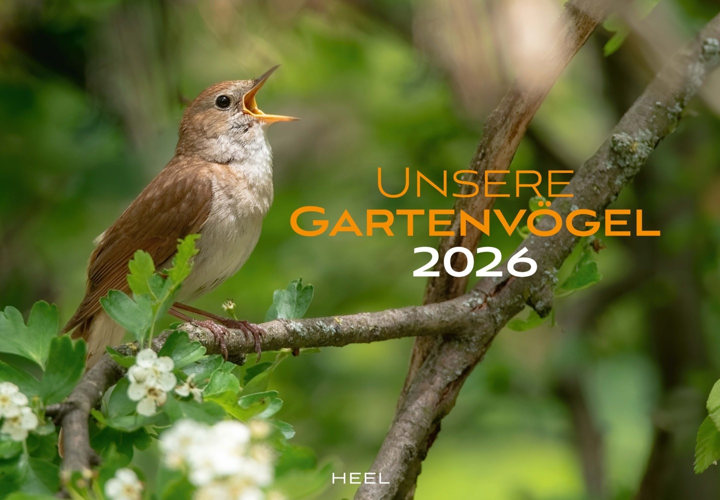 Unsere Gartenvögel Kalender 2026 main product photo