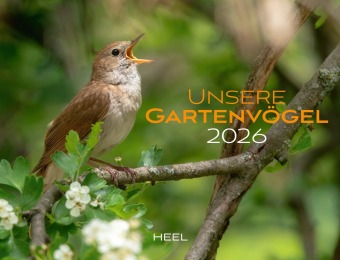 Kalender Unsere Gartenvögel 2026 Eintragkalender