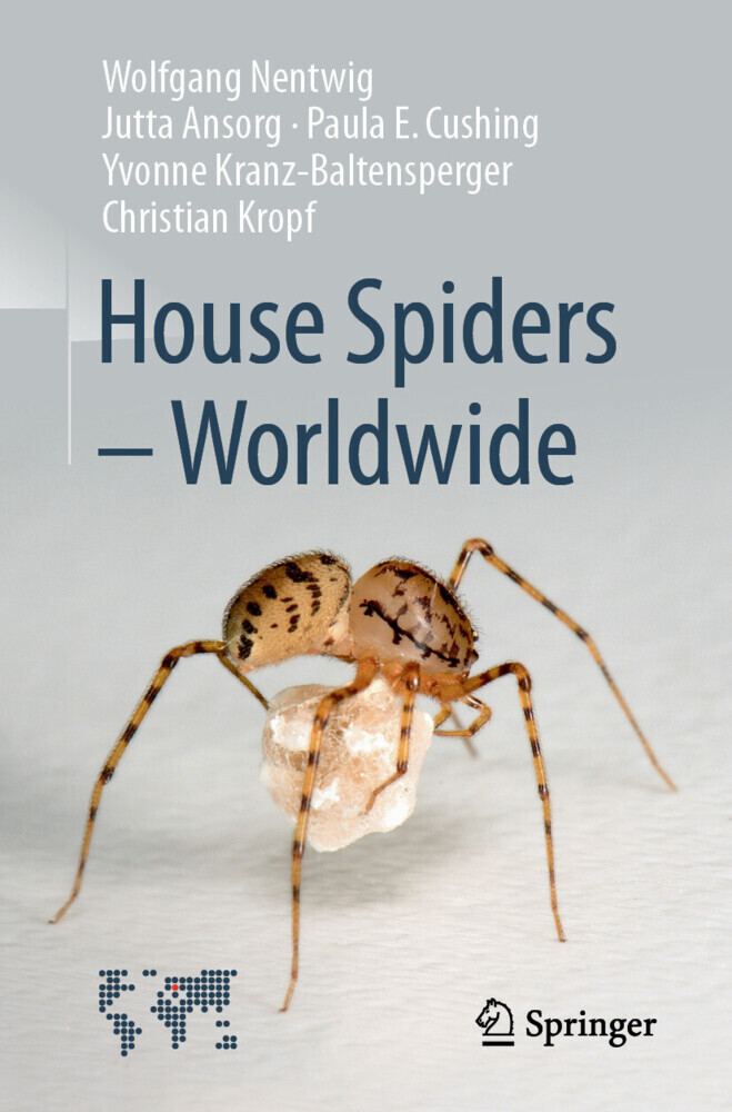 House Spiders - Worldwide main product photo