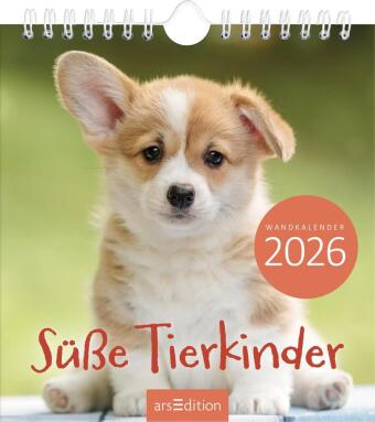 Wandkalender Süße Tierkinder 2026