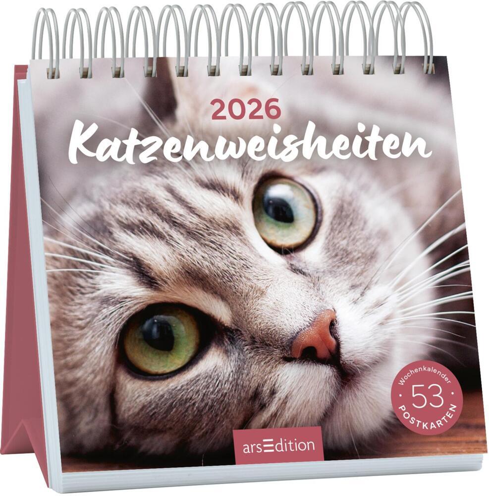 Postkartenkalender Katzenweisheiten 2026 main product photo