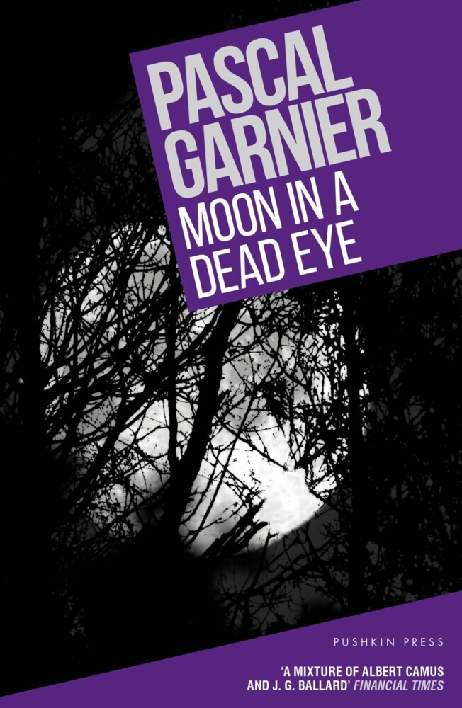 Moon in a Dead Eye main product photo