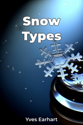 Snow Types