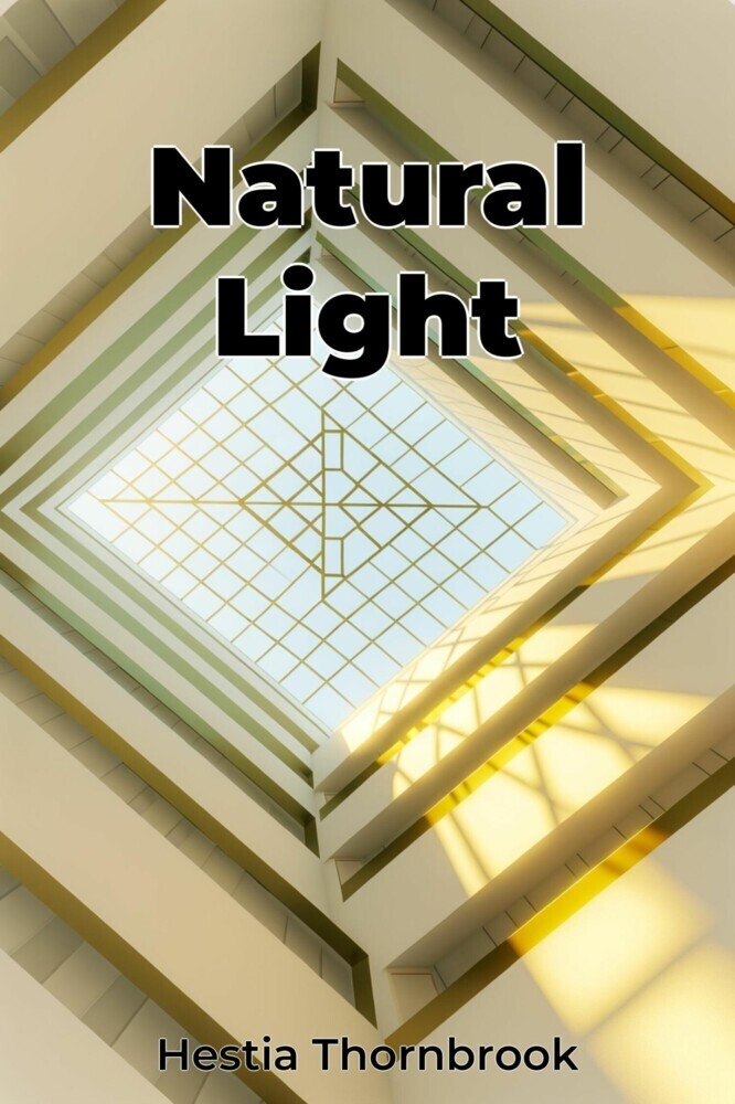 Natural Light main product photo