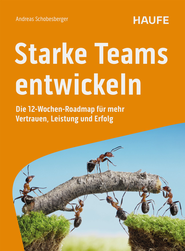 Starke Teams entwickeln main product photo