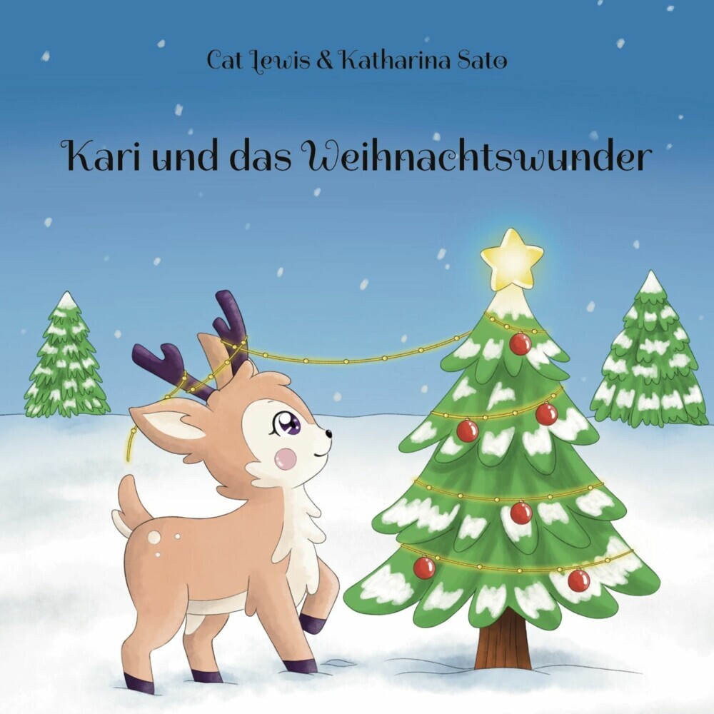 Kari und das Weihnachtswunder main product photo