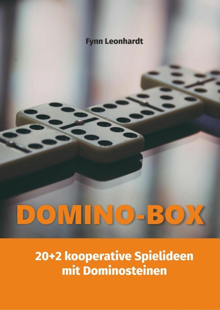 Domino-Box main product photo