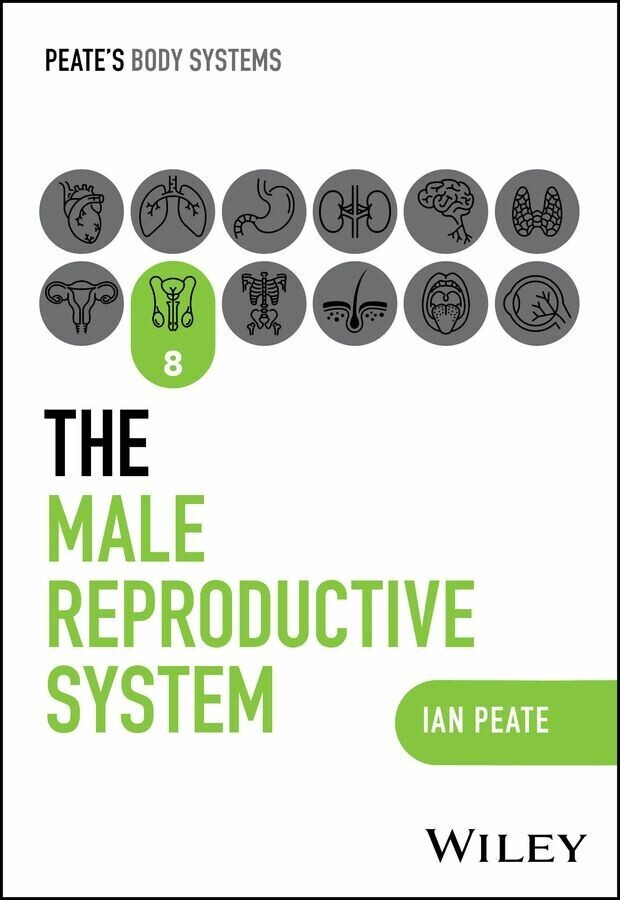 The Male Reproductive System main product photo