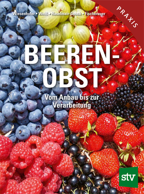 Beerenobst main product photo