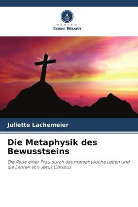 Die Metaphysik des Bewusstseins