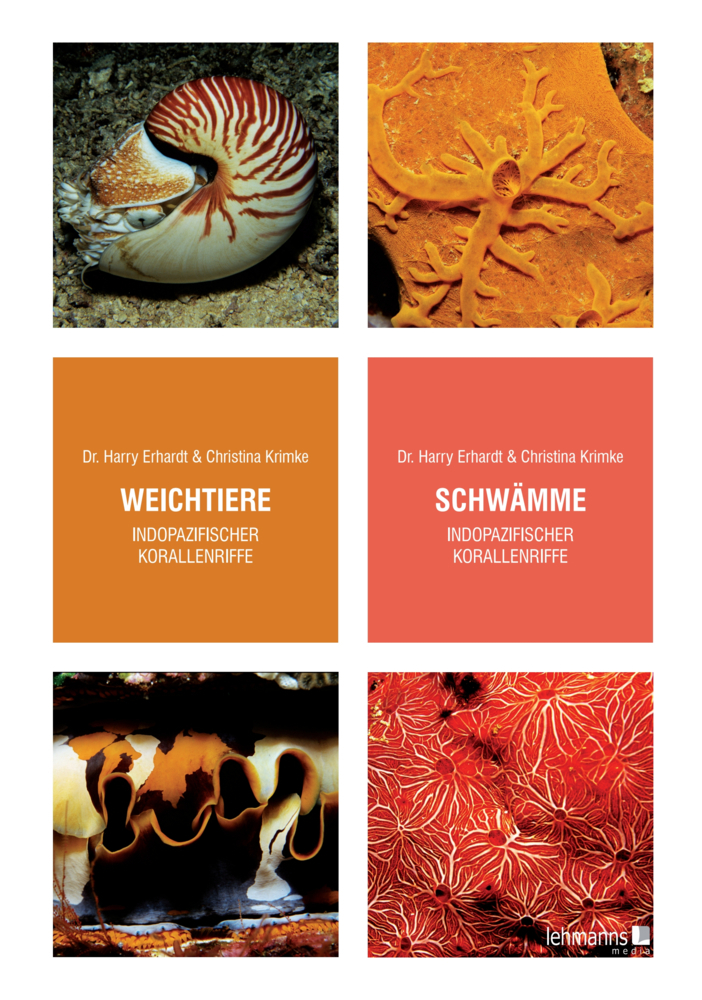 Weichtiere/Schwämme indopazifischer Korallenriffe main product photo