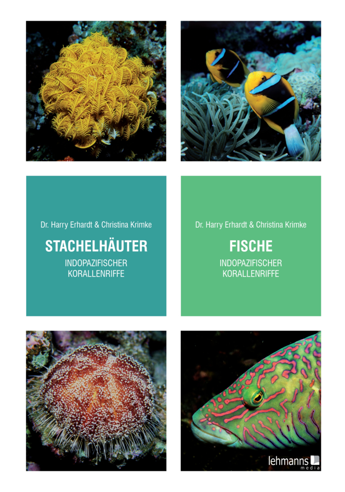 Stachelhäuter/Fische indopazifischer Korallenriffe main product photo