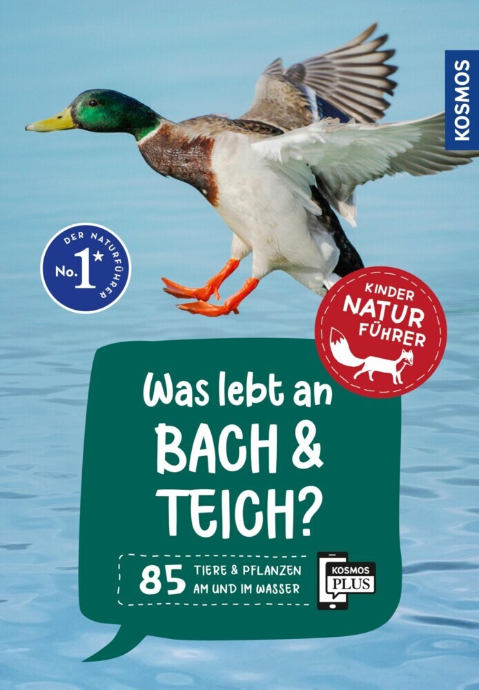Was lebt an Bach und Teich? Kindernaturführer main product photo