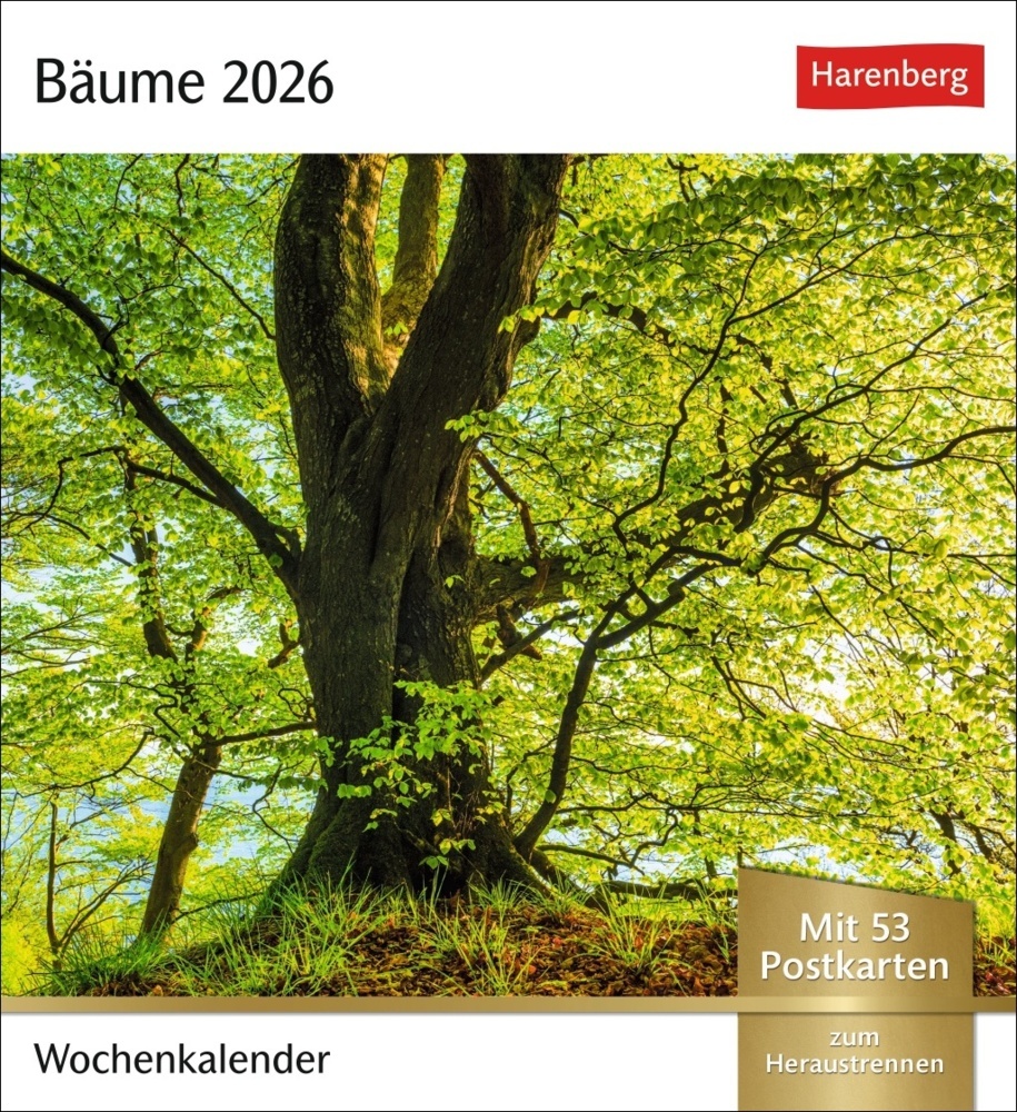 Bäume Postkartenkalender 2026 - Wochenkalender mit 53 Postkarten main product photo