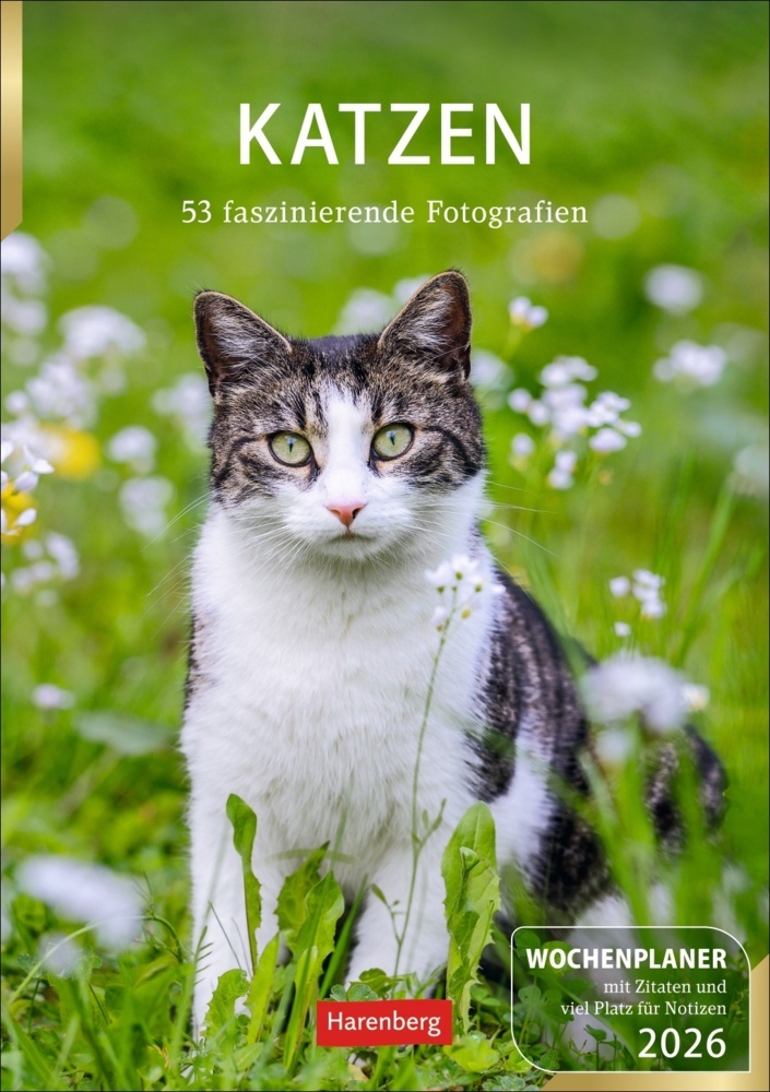 Katzen Wochenplaner 2026 - 53 faszinierende Fotografien main product photo