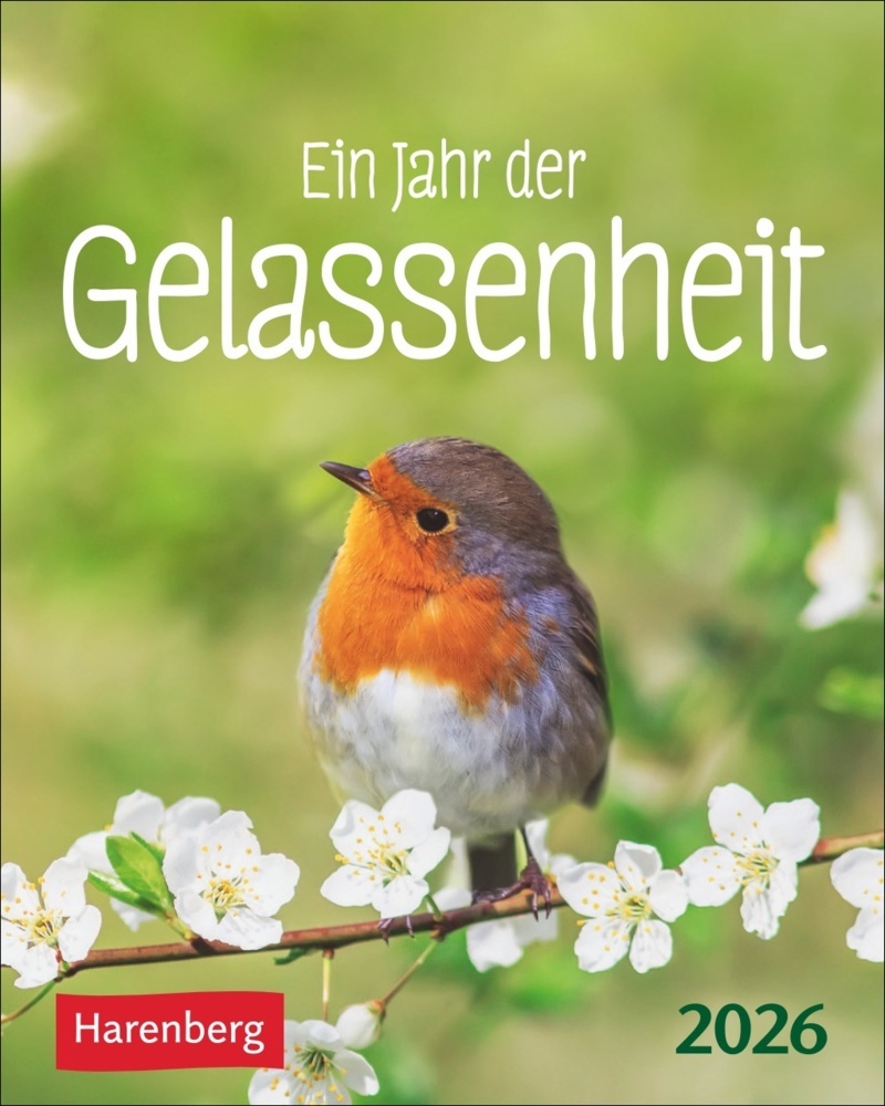 Ein Jahr der Gelassenheit Mini-Geschenkkalender 2026 main product photo