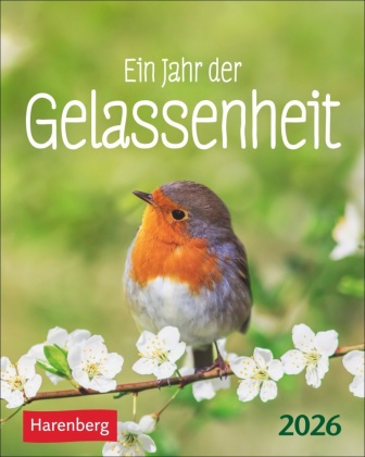 Ein Jahr der Gelassenheit Mini-Geschenkkalender 2026