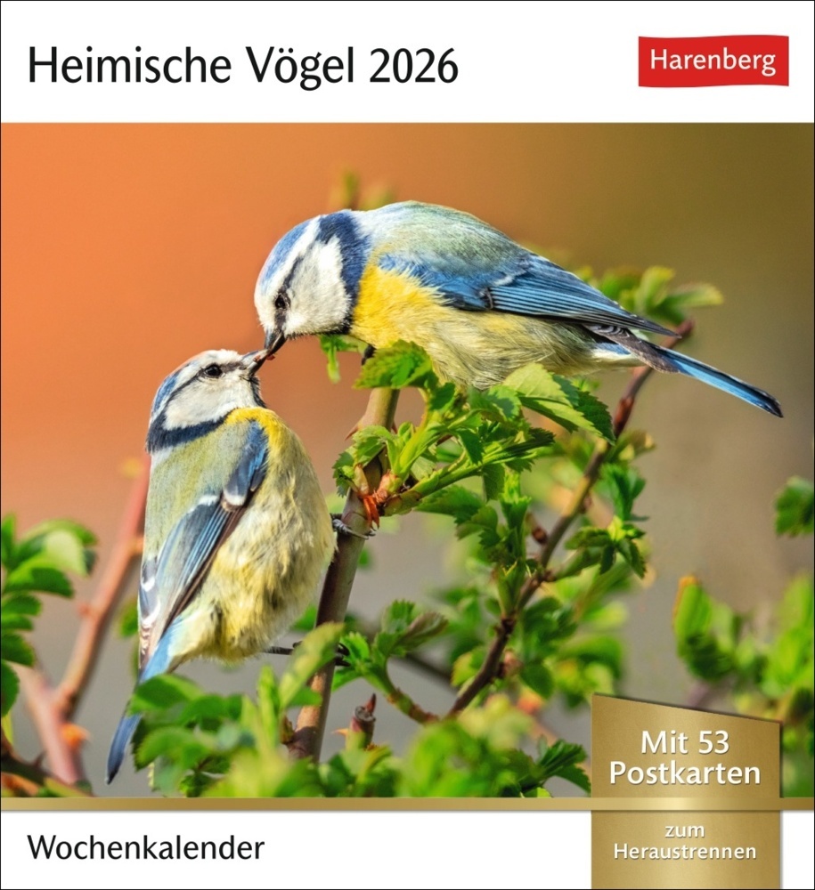 Heimische Vögel Postkartenkalender 2026 - Wochenkalender mit 53 Postkarten main product photo