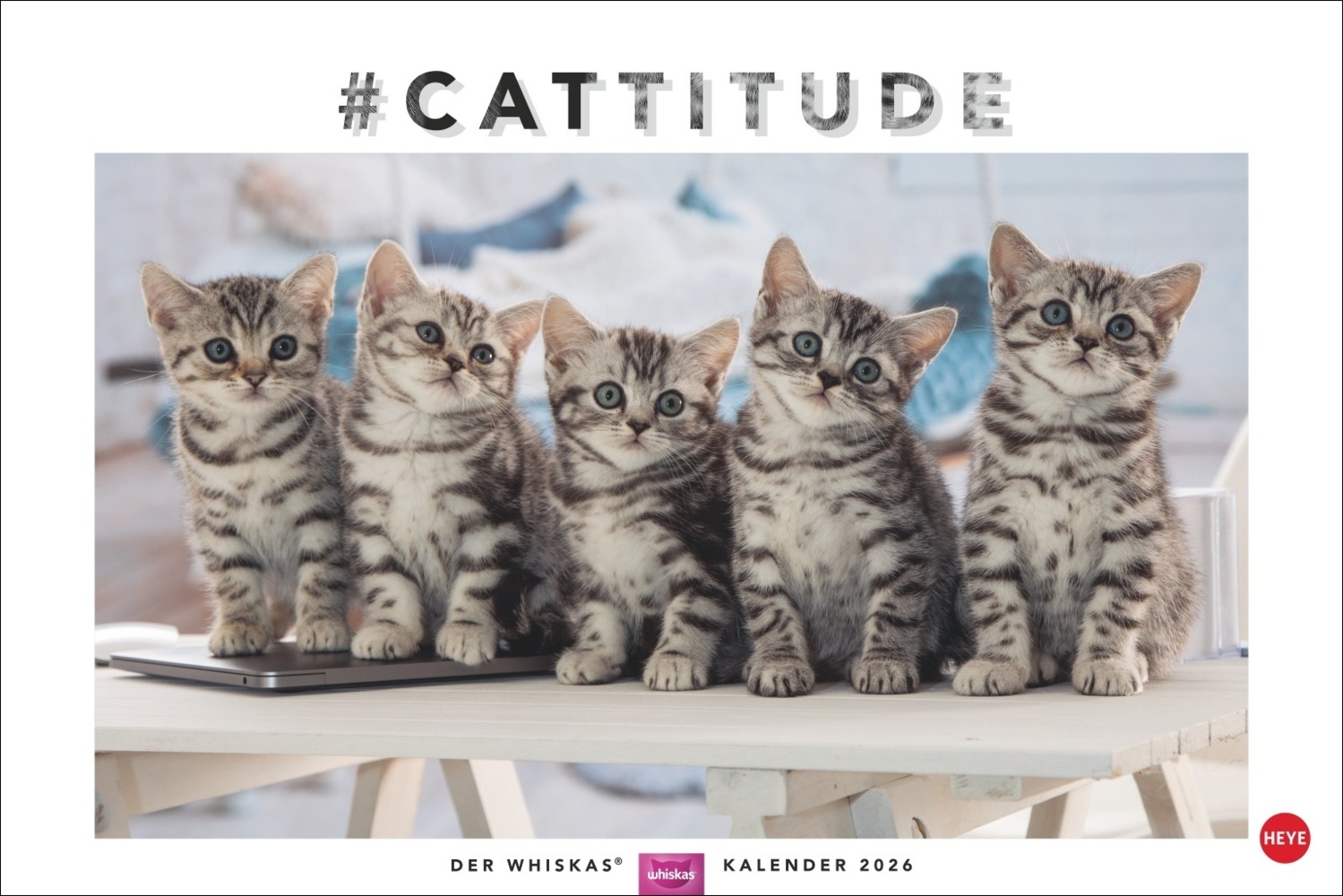 Whiskas Katzenkalender 2026 main product photo