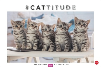 Whiskas Katzenkalender 2026