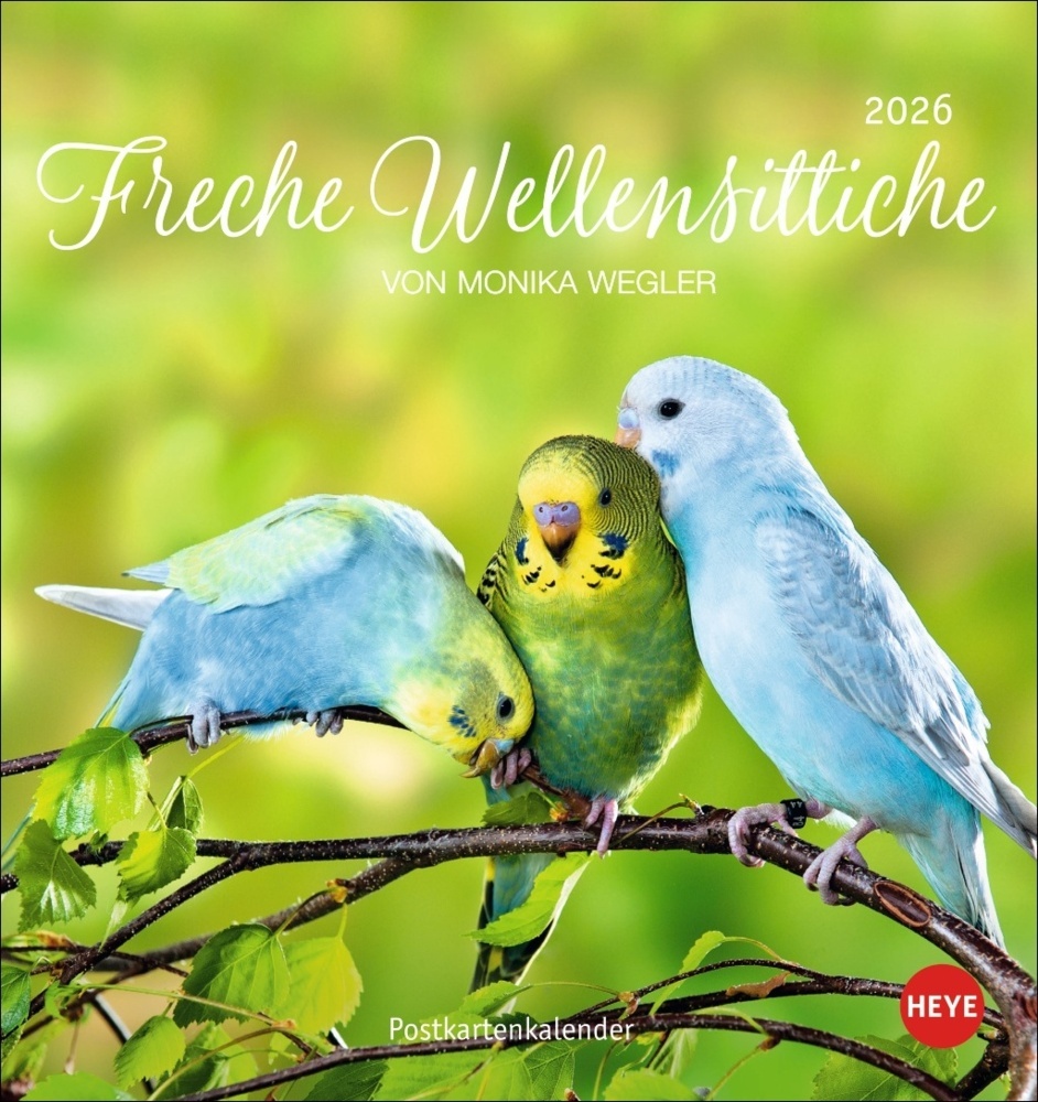 Freche Wellensittiche Postkartenkalender 2026 main product photo