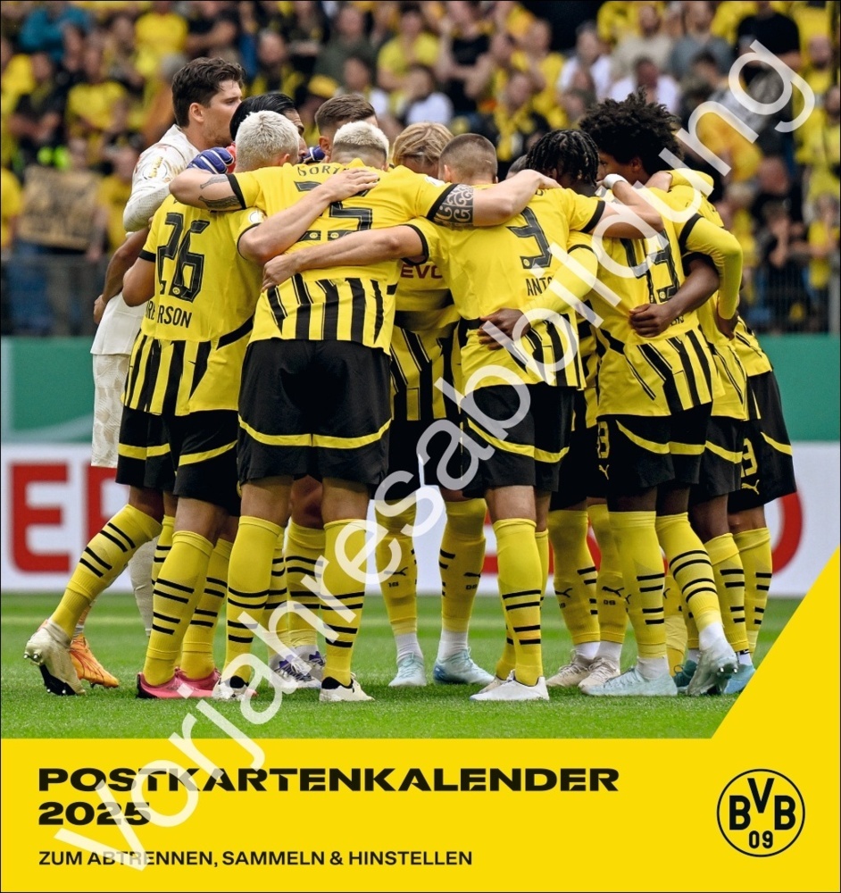 BVB Postkartenkalender 2026 main product photo