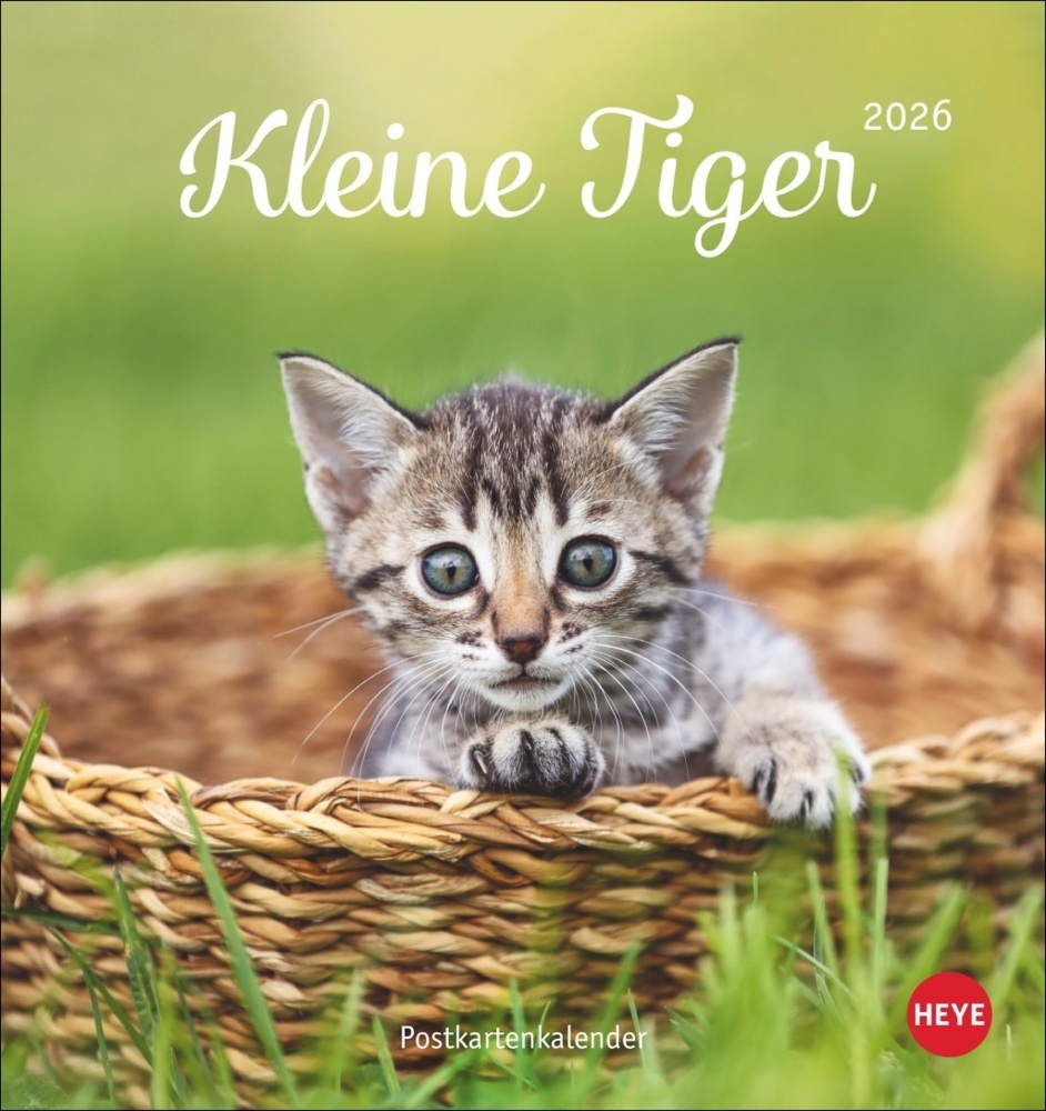 Katzen Postkartenkalender Kleine Tiger 2026 main product photo
