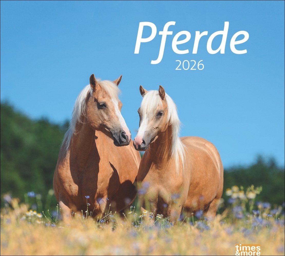 times&more Pferde Bildkalender 2026 main product photo