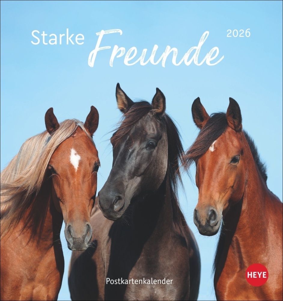Pferde Postkartenkalender 2026 - Starke Freunde main product photo