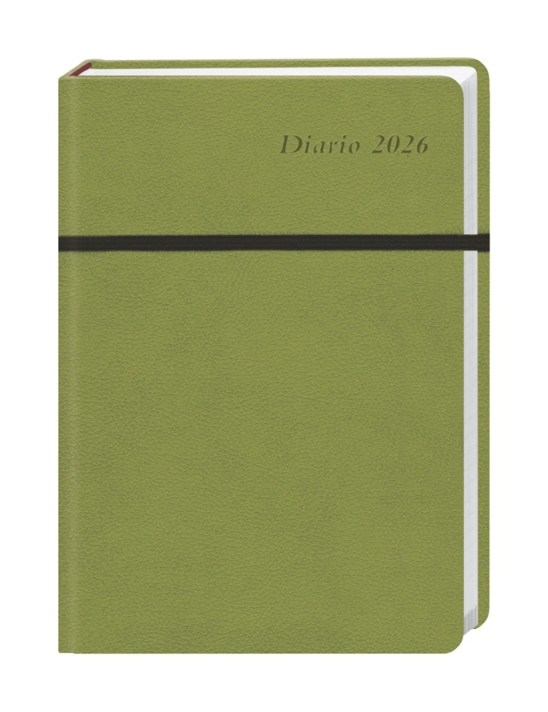 Diario Wochen-Kalenderbuch A6, grün 2026 main product photo