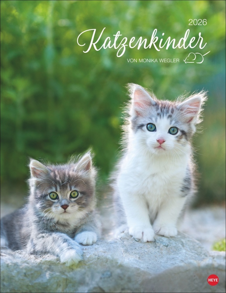 Katzenkinder Posterkalender 2026 main product photo