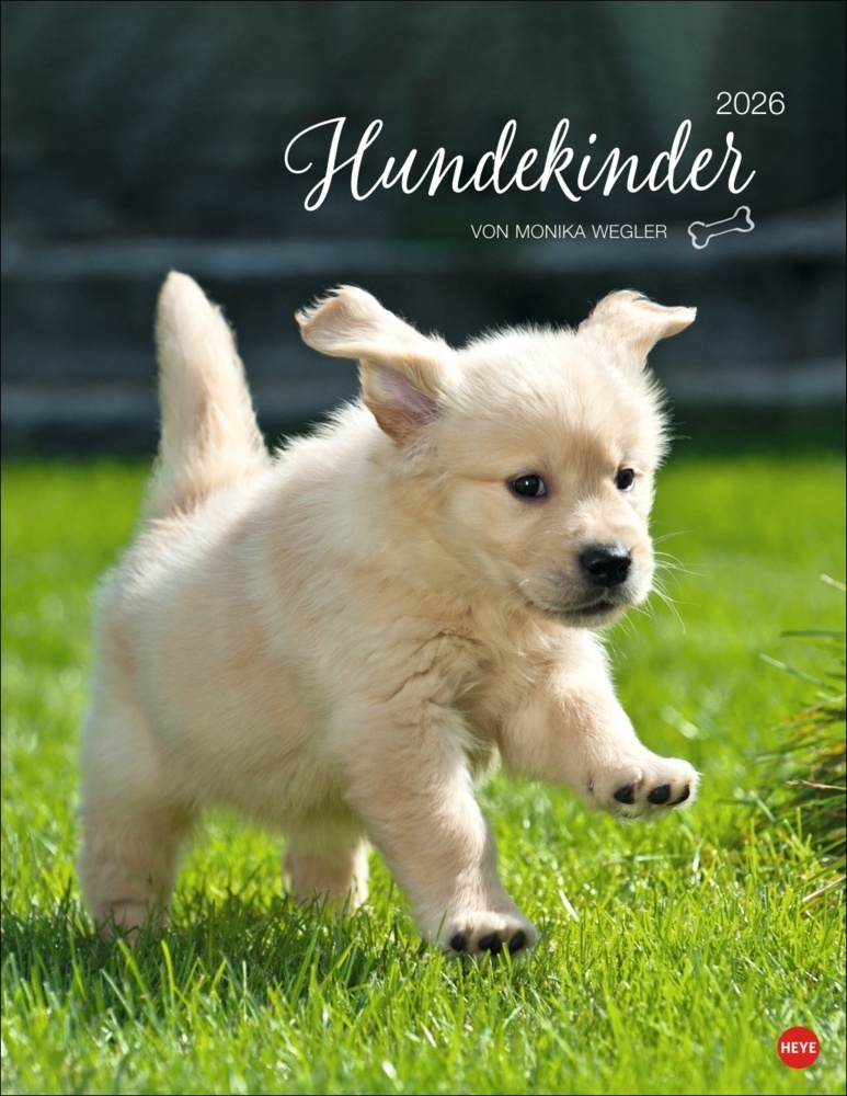 Hundekinder Posterkalender 2026 main product photo