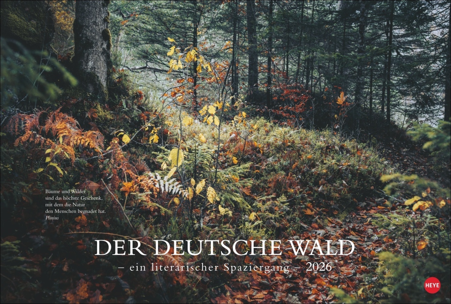 Der deutsche Wald - Ein literarischer Spaziergang Kalender 2026 - Ein literarischer Spaziergang main product photo